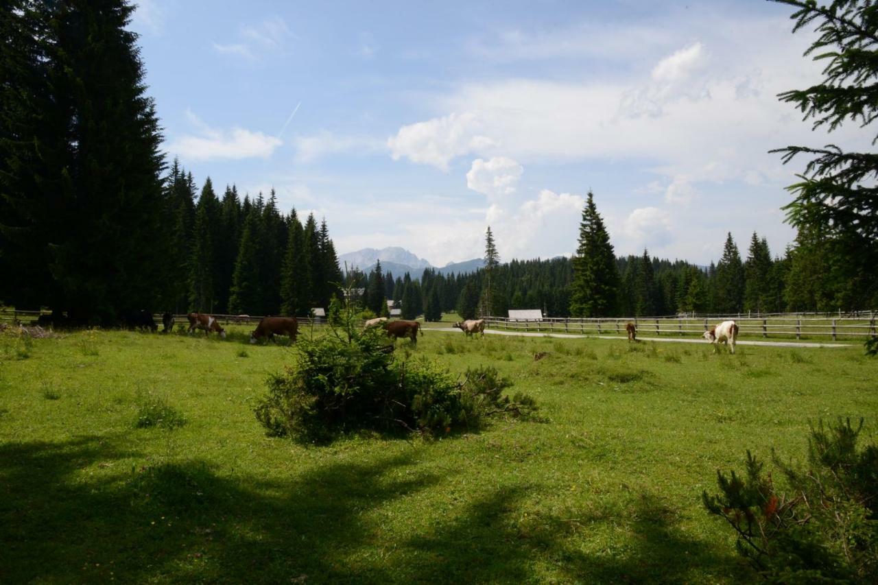 فيلا Pocitniska Hisa Jurcek Pokljuka Goreljek المظهر الخارجي الصورة